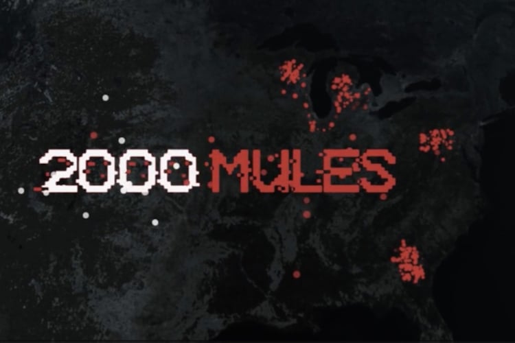 2000 MULES – FULL DOCUMENTARY