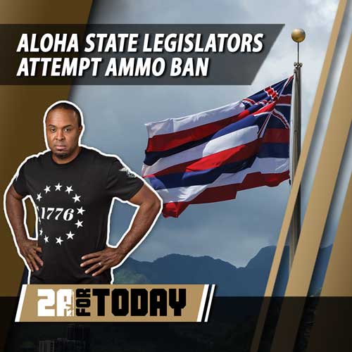 April Fools! Aloha State Legislators Attempt Ammo Ban & Pipe Wielding Burglar Gets Blasted