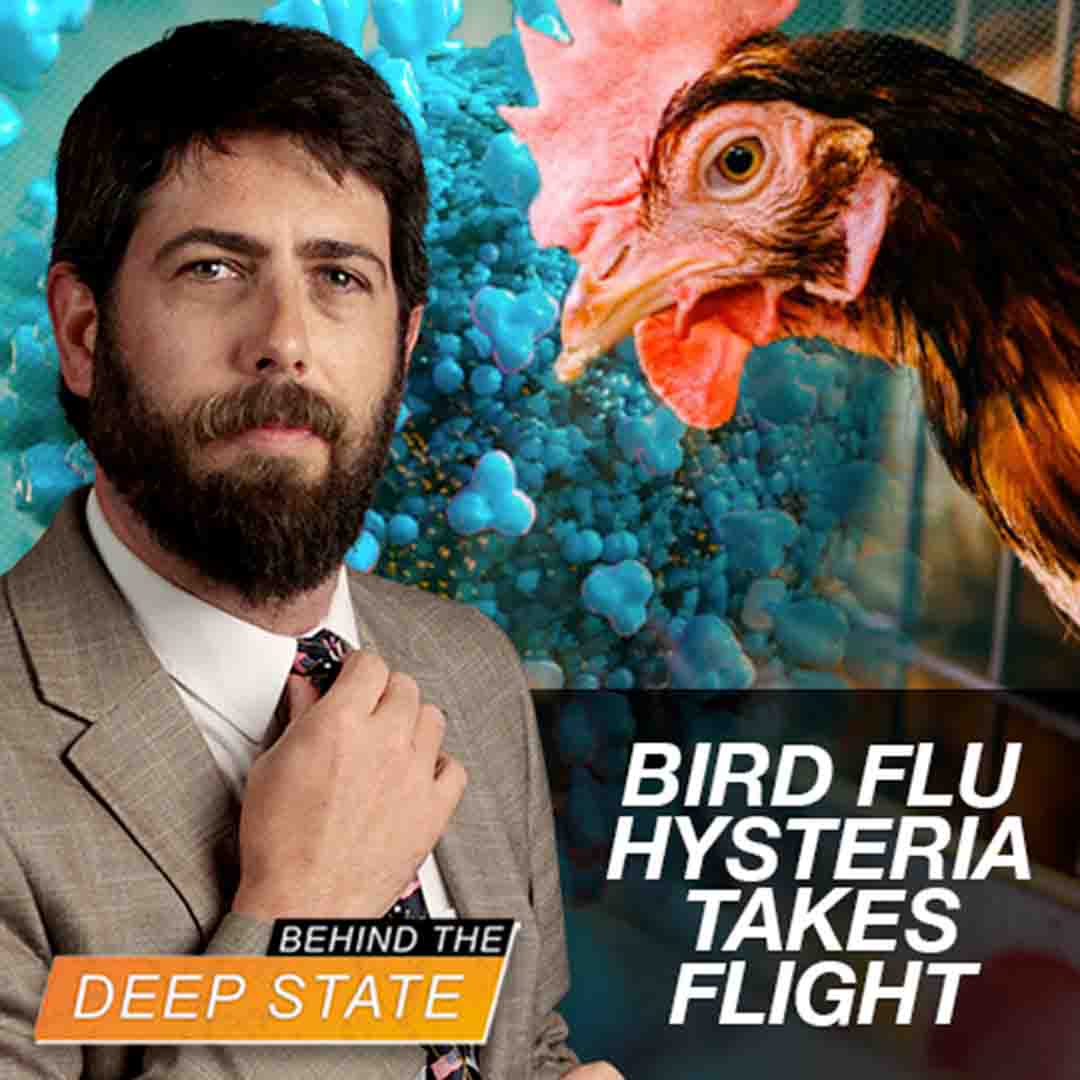 Bird Flu Hysteria Takes Flight Amid WHO Power Grab & 2024 Election