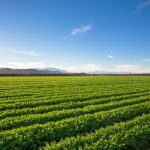 Farm Bill Pushes Federal Control Over Pesticide Warnings, Sparks Backlash