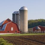 Trump Announces Another $8 Billion Farm Bailout