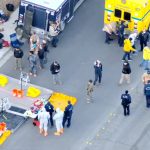 Story on Illegal Chinese Biolabs Keeps Getting Scarier