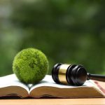 UN Endorses “World Court” Ruling Claiming All MUST Fight “Climate Change”