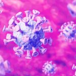 The Next Pandemic Scare? Scientists Warn of Emerging Viruses.