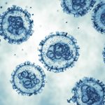 Hantavirus: Is the Next Pandemic Upon Us?