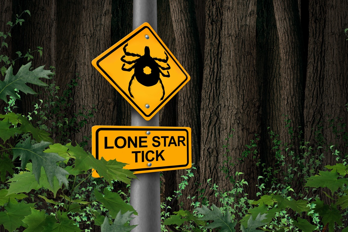 thenewamerican.com - William F. Jasper - War on Meat: Has Tick-borne 'Thought Experiment' Become Full-blown Biowarfare?