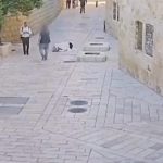 Cops Arrest, Condemn Suspect in Attack on Nun in Jerusalem. Anti-Christian Attacks Are Routine, Report Says.
