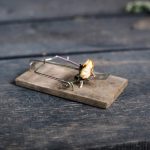 New Oregon Measure Would Criminalize Hunting, Fishing — and Even Standard Mouse Traps