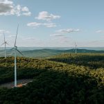 New York Demolition Exposes Wind Waste and Taxpayer Fraud