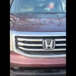 ICE Agent’s Cellphone Footage Clearly Shows Woman Attempted to Run Him Down Before Shooting