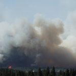 From Spokane to Palisades: Arson Keeps Coming Up in Some of America’s Most Destructive Fires