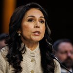 Gabbard Roasted in Senate Hearing, Written Testimony Contradicts Trump