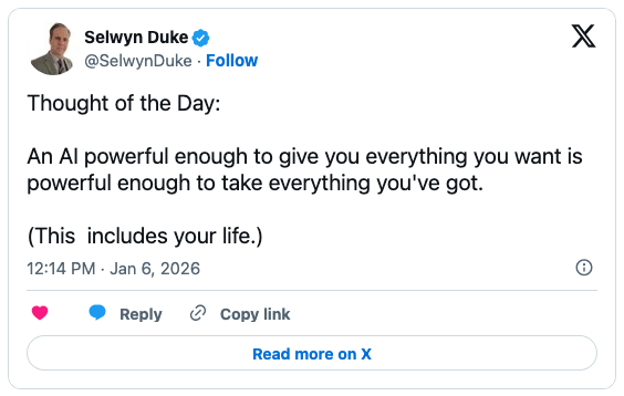 Screenshot of a Twitter post by Selwyn Duke sharing a thought about the duality of AI's power, highlighting the risks associated with powerful AI.