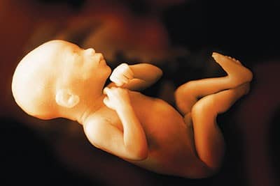 2,000 aborted children abortionist home Will County Illinois Ulrich Klopfer