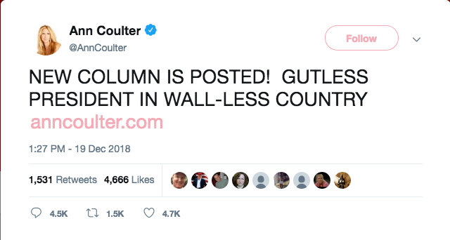 Screenshot 2018 12 21 Ann Coulter on Twitter