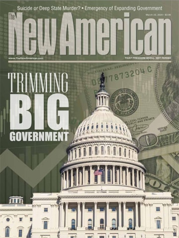 Trimming Big Government