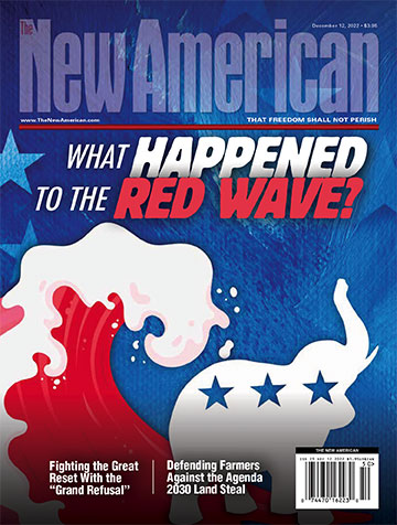 What Happened to the Red Wave?