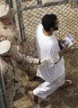 U.S. Soldier Exposes Torture at Guantanamo