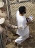 “Torture Memo” Author Attacks Torture Ban