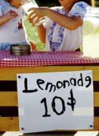 Girl Ticketed for Selling Lemonade and Cookies