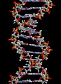 Study Shows DNA Evidence Can Be Faked