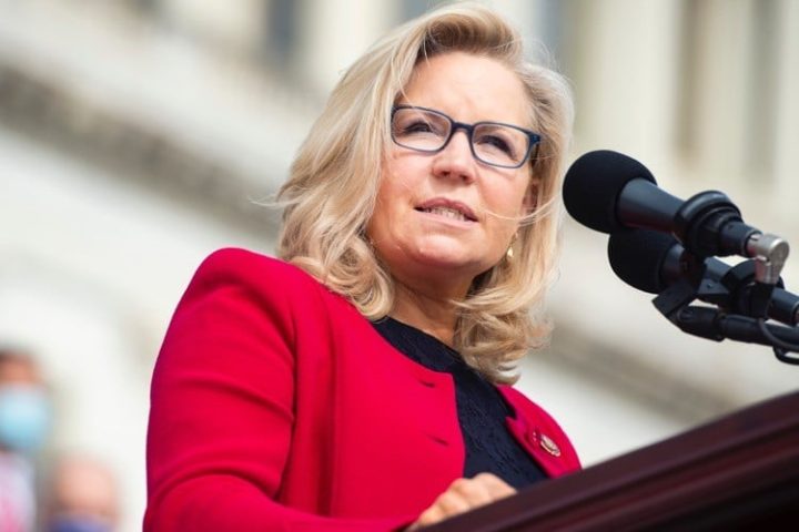 It’s Time to Purge the GOP of RINOS. Start With Liz Cheney.