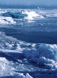 Study Finds Small Increase in Arctic Temps