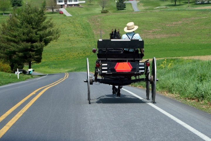 Lockdown Folly? Lockdown-averse Amish May Now Have Covid Herd Immunity, Says Health Official