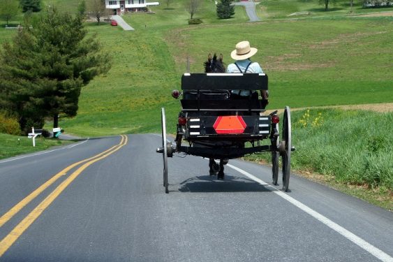 Lockdown Folly? Lockdown-averse Amish May Now Have Covid Herd Immunity, Says Health Official