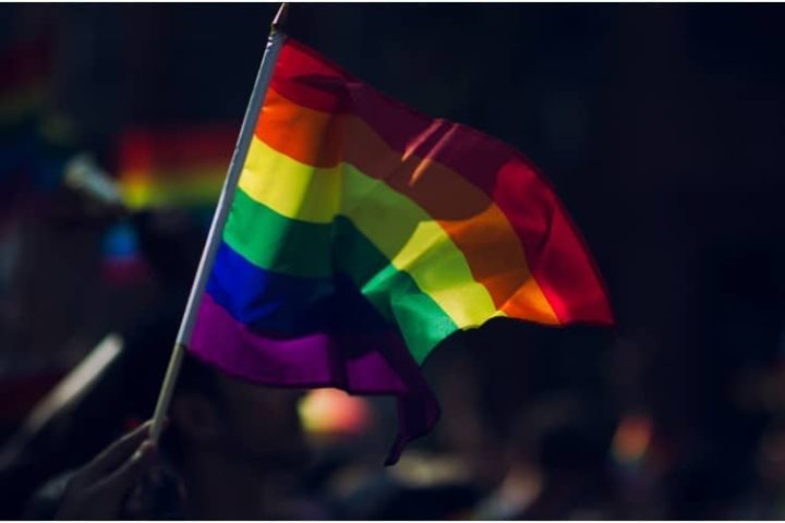 African Cardinal: We Must Rebel Against Same-sex “Marriage” & LGBT Imperialism