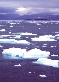 Arctic Ice Melts as Earth Cools