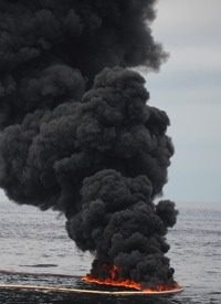 Gulf Oil Spill Opportunists