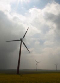 Can the Free Market Support Alternative Energy?