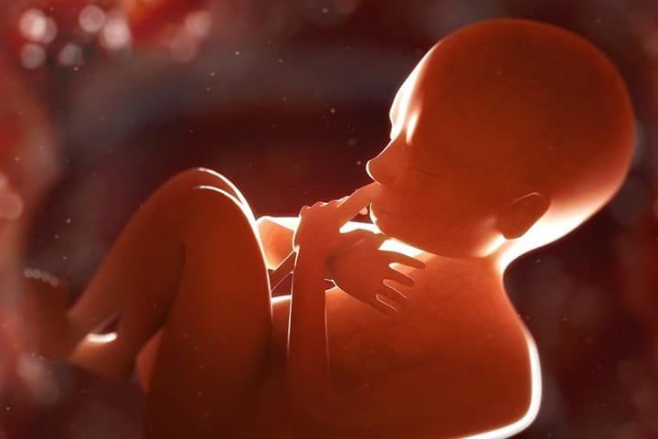Sickening E-mails Surface: FDA, NIH Buying Aborted Human Fetal Parts for Experiments