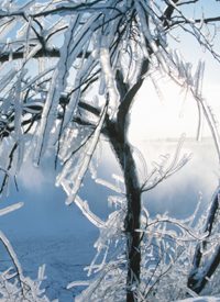 Greenland Endures Two Extra Days of Sunlight