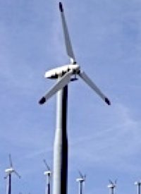 Environmentalists Against Windpower?