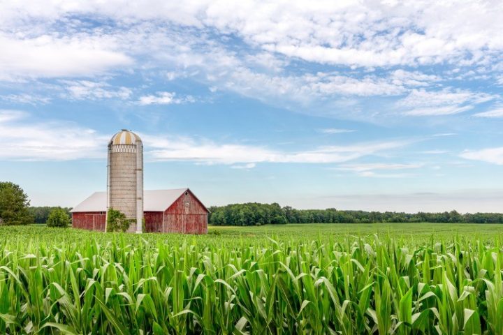 CCP and Bill Gates Working Together to Influence U.S. Agriculture Policy