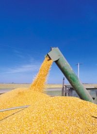 EPA Biofuel Mandates Intensify World Hunger
