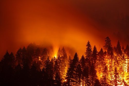 Feds Caught Deleting Data to Make It Appear That “Climate Change” Causes Wildfires