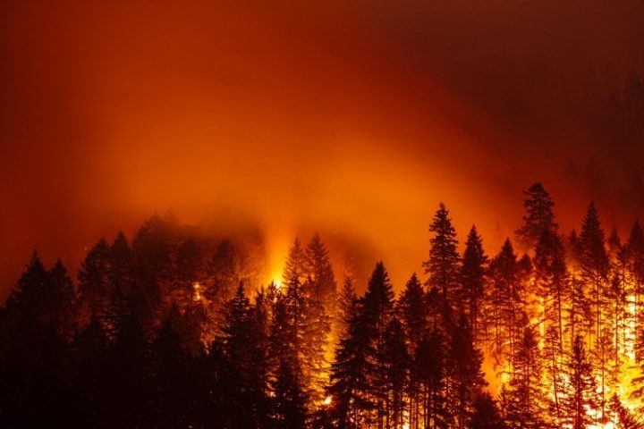 Feds Caught Deleting Data to Make It Appear That “Climate Change” Causes Wildfires