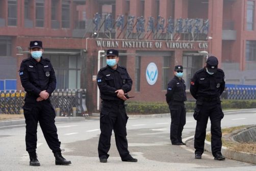 Video Shows Bats at Wuhan Lab Despite Denials from Top Scientist, Gain-Of-Function Backer. Admission: Chinese Lacked Biosecurity Know-How