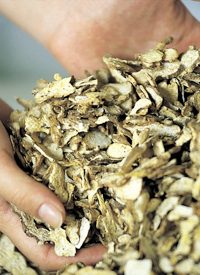 Oil Companies Fined for Not Buying Nonexistent Cellulosic Ethanol