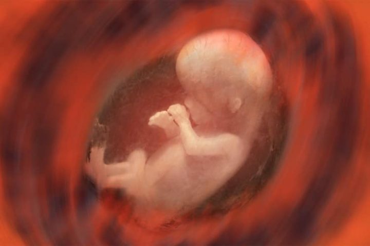 ‘Recognizing Life Resolution’ Declares Right to Life Begins at Conception