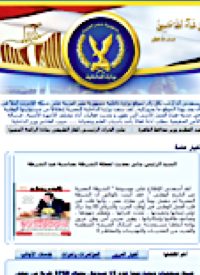 Hackers Shut Down Egyptian Regime’s Websites