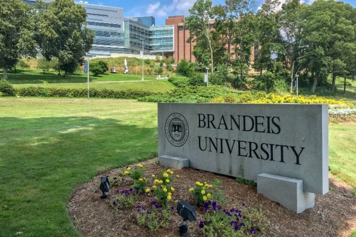 Brandeis University Releases “Oppressive Language List”