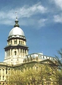 Illinois Legislature Debates Gun Ownership Privacy