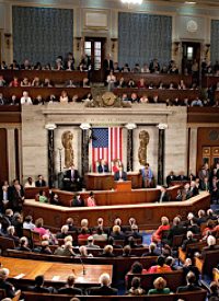 Congress Cedes Legislative Power to President
