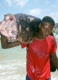 Somali Vigilantes Capture Pirates