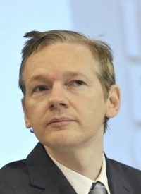 The Unintended, or Intended, Effects of Wikileaks?