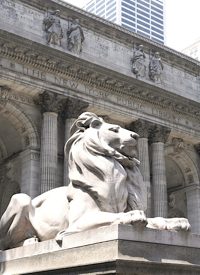 New York Public Library Policy Allows Patrons to View Porn